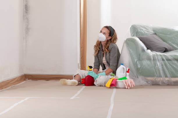 Reliable Mold Remediation contractor in Cary, IL by Cheap Mold Removal